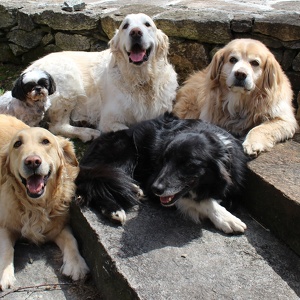 Fundraising Page: Judith Enstone and Carol Dorn